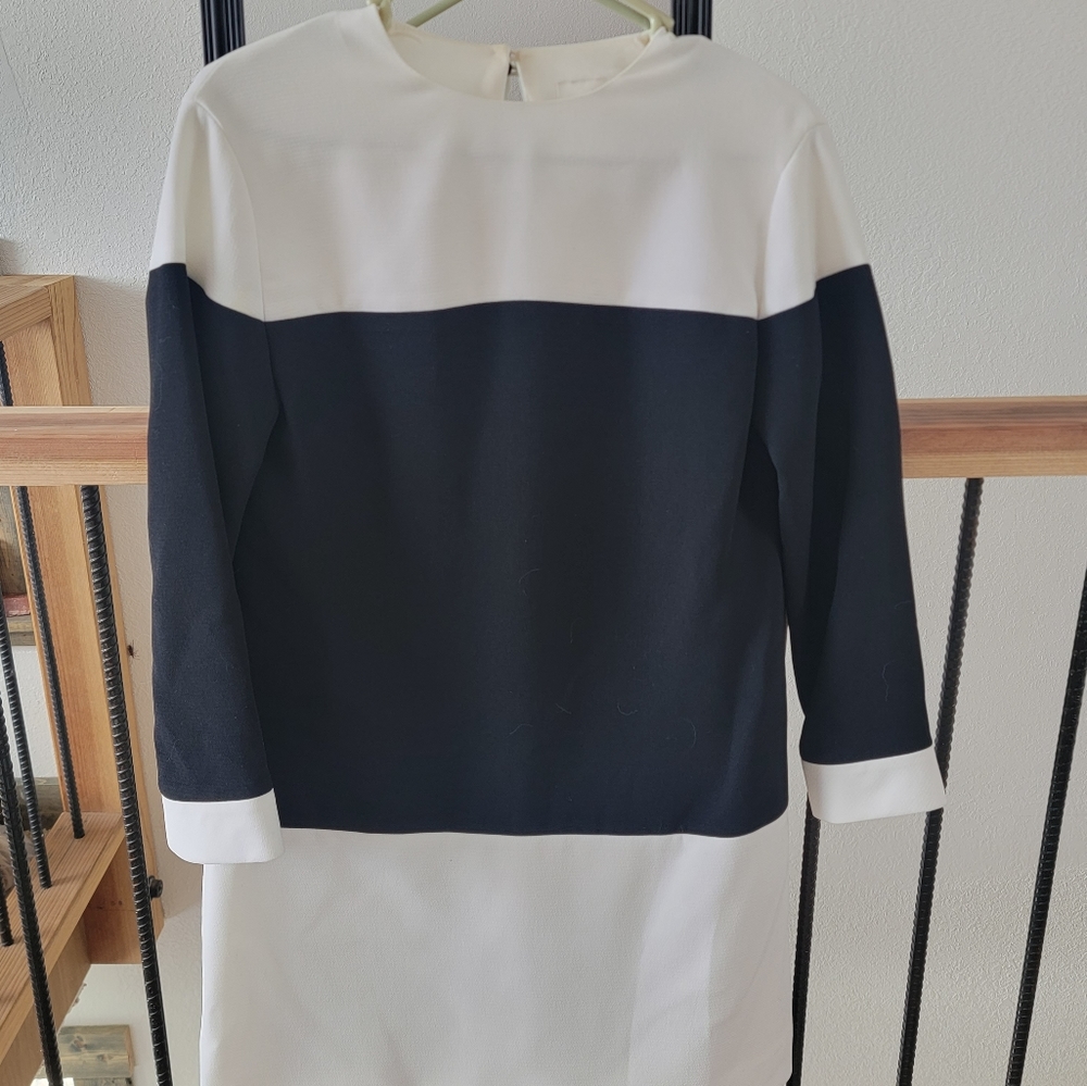 Kate Spade Swift Dress